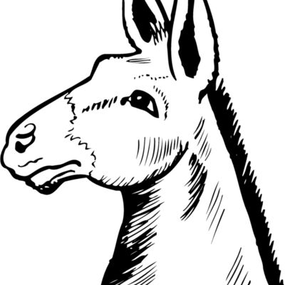 Dieren Thumbnail